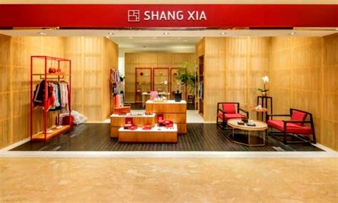 how hermes is successful in china|shang xia hermes handbags.